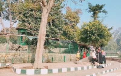 افتتاح حديقة الحيوان بعد تطويرها.. بشرى سارة للزوار من «الزراعة»