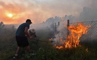 الأمن العام يطرح إرشادات مهمة للأردنيين في حملة "صيف آمن"