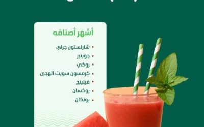 البطيخ ينعش صيف المملكة بأسواق تزخر بإنتاج يتجاوز 610 آلاف طن هذا العام.