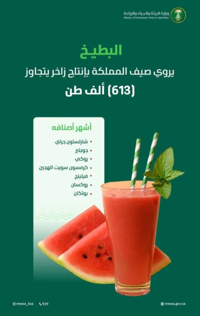 البطيخ ينعش صيف المملكة بأسواق تزخر بإنتاج يتجاوز 610 آلاف طن هذا العام.