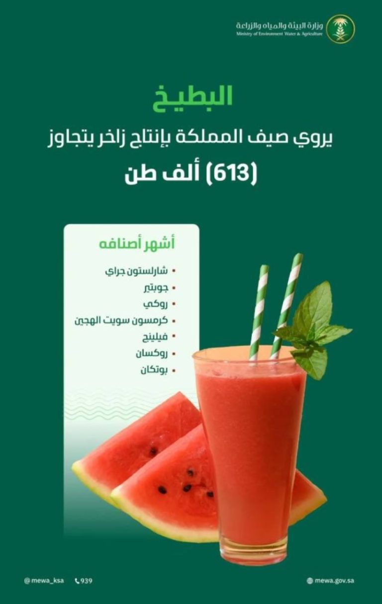 البطيخ ينعش صيف المملكة بأسواق تزخر بإنتاج يتجاوز 610 آلاف طن هذا العام.