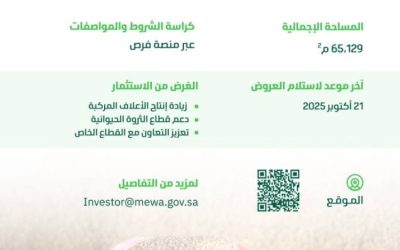 البيئة تعلن عن فرصة استثمارية لإقامة مصنع لإنتاج الأعلاف في منطقة تبوك