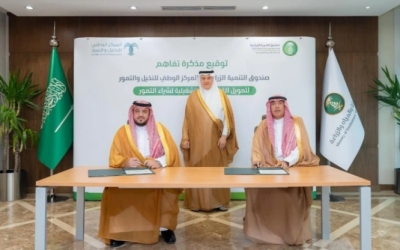 التنمية الزراعية والمركز الوطني للنخيل يتعاونان لتمويل شراء التمور وتشغيلها.