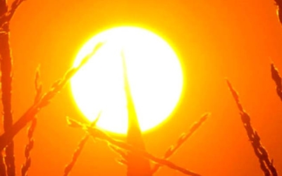 الدفاع المدني يحذر الأردنيين من ارتفاع درجات الحرارة  
تحذيرات جديدة للأردنيين من الدفاع المدني بشأن الأجواء الحارة  
الأجواء الحارة تستدعي تحذير الدفاع المدني للأردنيين  
الدفاع المدني: تحذير عاجل للأردنيين بسبب موجة الحر