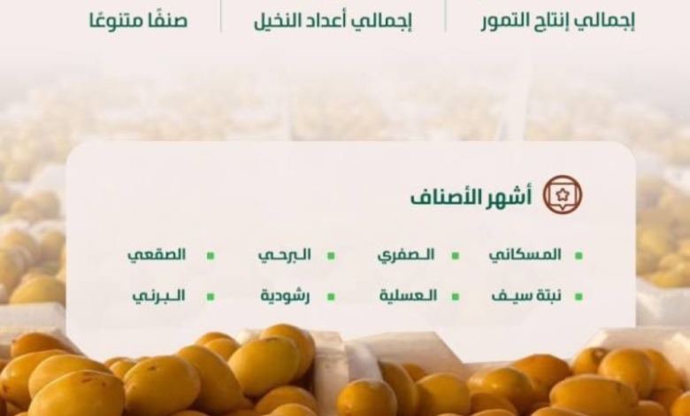 الرياض تُعزّز إنتاج المملكة من التمور والأسواق تستقبل المحصول الجديد بفرح