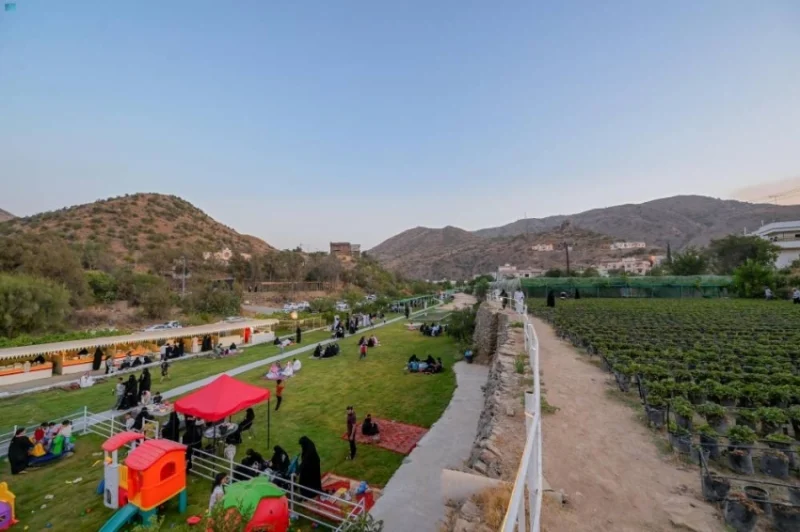 الزاخر بالمزارع الريفية في الباحة يجذب الزوار