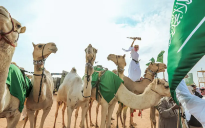 السعودية تنهي رئاستها للسنة الدولية للإبل بنجاح وإشادة عالمية