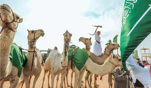 السعودية تنهي رئاستها للسنة الدولية للإبل بنجاح وإشادة عالمية