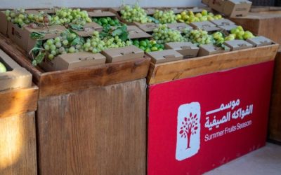 العلا تحتفل بموسم الفواكه الصيفية محققة 4,900 طن وإيرادات تفوق 12.8 مليون ريال