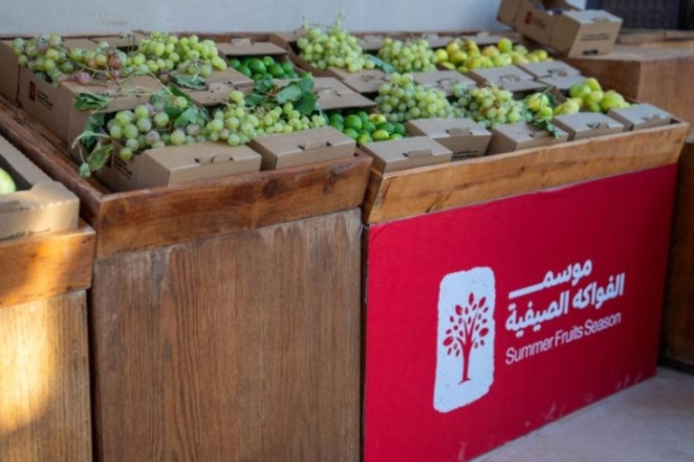 العلا تحتفل بموسم الفواكه الصيفية محققة 4,900 طن وإيرادات تفوق 12.8 مليون ريال