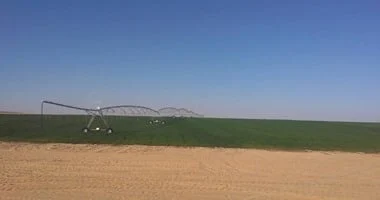 العمالة في مصر: الزراعة والمركبات تتصدّران القطاعات الأكثر استقبالا في 2024 وفق الإحصاءات