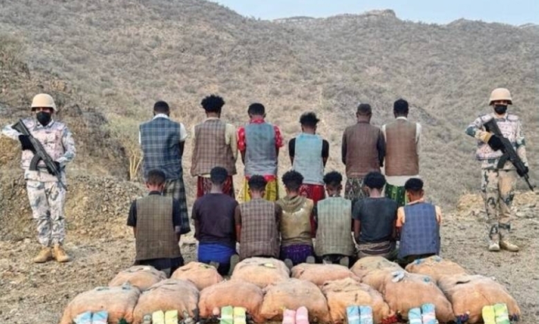 القبض على 13 متهماً بتهريب 169 كجم من القات في الربوعة