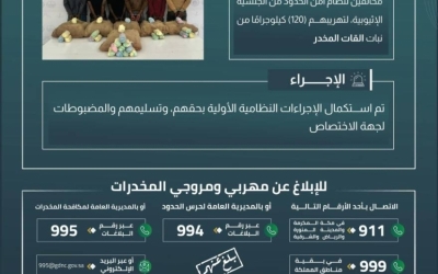 القبض على 6 مخالفين لحرس الحدود بعسير أثناء تهريب 120 كيلوجرامًا من القات المخدر