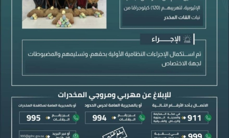 القبض على 6 مخالفين لحرس الحدود بعسير أثناء تهريب 120 كيلوجرامًا من القات المخدر