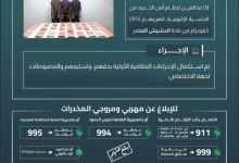 القبض على مخالفين في جازان لتهريب 31.5 كيلوجرامًا من الحشيش المخدر
