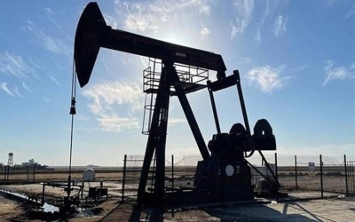 انخفاض ملحوظ في أسعار النفط وتأثيره على الأسواق العالمية والإقتصاد المحلي.