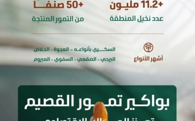 بواكير التمور تبدأ في الكشف عن نكهتها المميزة