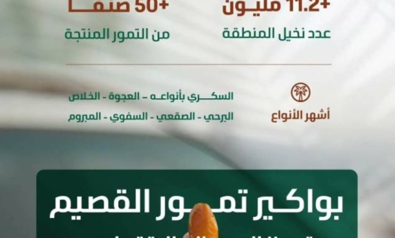 بواكير التمور تبدأ في الكشف عن نكهتها المميزة
