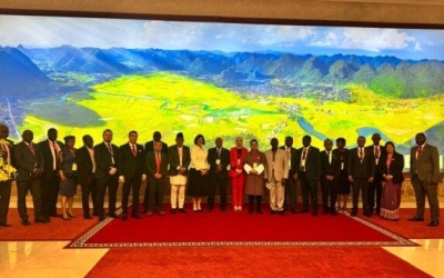 تجربة مصرية جديدة في إنتاج نخيل التمر