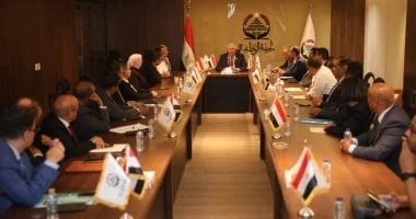 تشكيل اللجان المشرفة على تصويت المصريين بالخارج بانتخابات الشيوخ