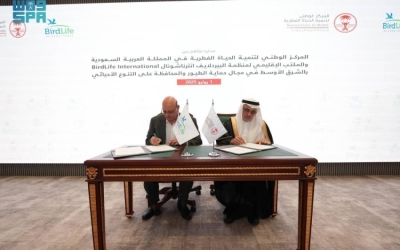 تعاون جديد بين "الحياة الفطرية" و"البيردلايف إنترناشيونال"