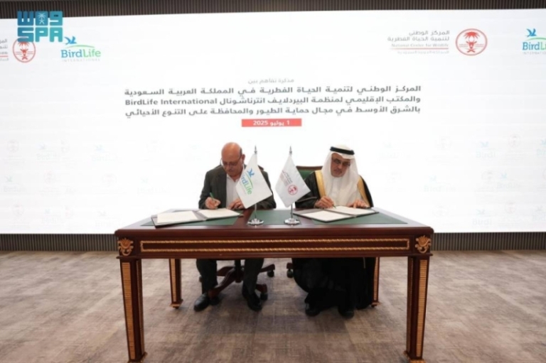 تعاون جديد بين “الحياة الفطرية” و”البيردلايف إنترناشيونال”