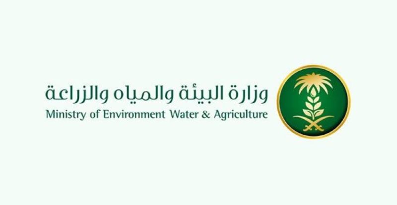 تقدم جديد في برنامج السقيا المجاني
انطلاقة مدهشة لبرنامج السقيا المجاني
تحسينات ملحوظة في برنامج السقيا المجاني
نجاحات مستمرة في برنامج السقيا المجاني
ابتكارات جديدة في برنامج السقيا المجاني