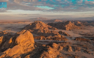 "تقرير موسع للتنوع الحيوي" من "البحر الأحمر الدولية" يعزز حماية كنوز المملكة الطبيعية