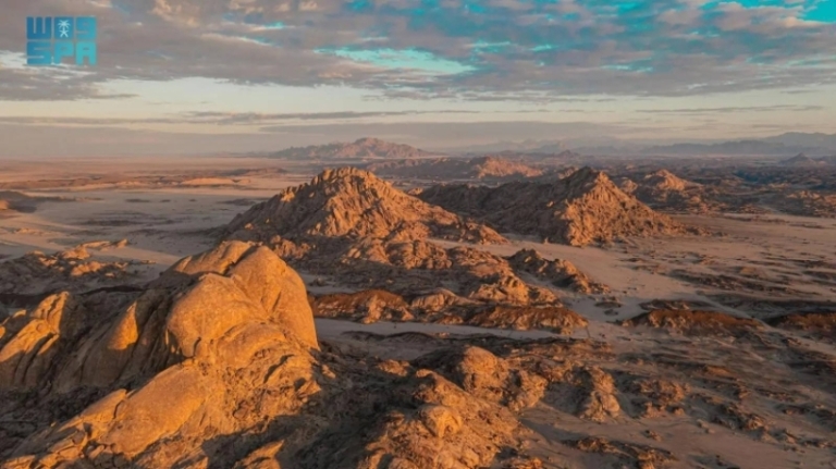 “تقرير موسع للتنوع الحيوي” من “البحر الأحمر الدولية” يعزز حماية كنوز المملكة الطبيعية