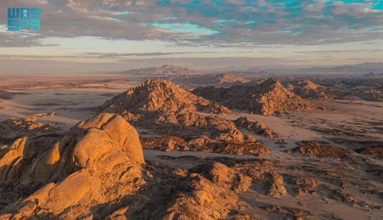 "تقرير موسع للتنوع الحيوي" من "البحر الأحمر الدولية" يعزز حماية كنوز المملكة الطبيعية