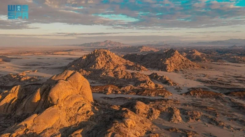 "تقرير موسع للتنوع الحيوي" من "البحر الأحمر الدولية" يعزز حماية كنوز المملكة الطبيعية