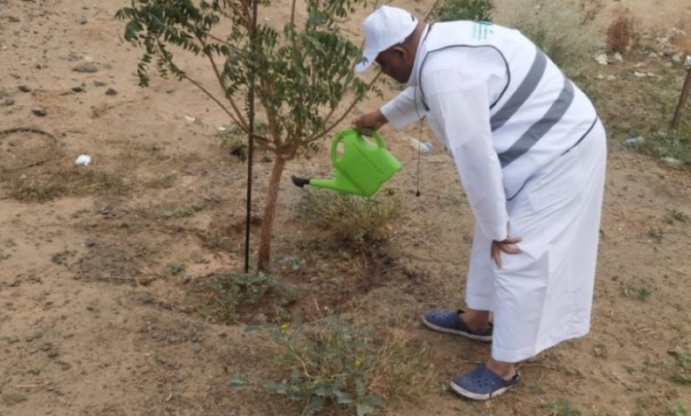 “تنفيذ مبادرات سقيا المزروعات” في مكاتب "البيئة" بالعاصمة المقدسة وخليص وأضم