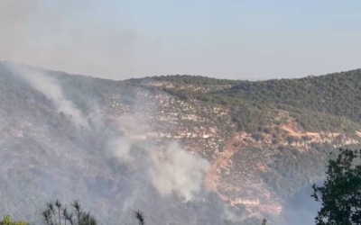 حرائق تلتهم 200 دونم في غابات وديان الشام بين جرش وعجلون وفقاً لمحافظ جرش