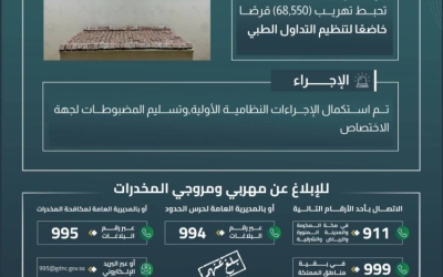 حرس الحدود بجازان ينجح في إحباط تهريب 68,550 قرصًا من الأدوية المنظمة
