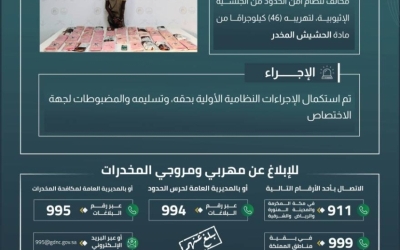 حرس الحدود بعسير يضبط مهربًا بحوزته 46 كيلوجرامًا من الحشيش المخدر