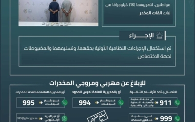 حرس الحدود بنجران يعتقل مهربين بحوزتهما 18 كيلوجرامًا من القات