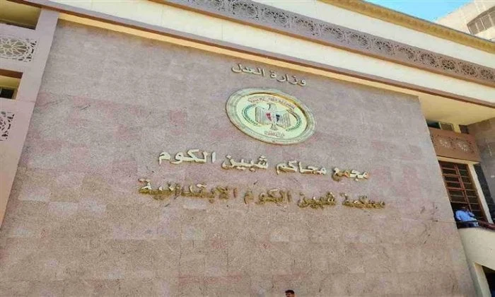 حكم مشدد 10 سنوات على أم قتلت رضيعها عمدا في «بانيو» بالمنوفية