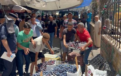 حملة أمنية في إربد تسفر عن إزالة عشرات البسطات وتحرير مخالفات لمحال تجارية بالفيديو