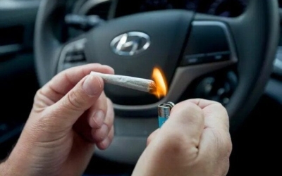 حملة جديدة لرفع وعي السائقين بخطورة المخدرات من التضامن