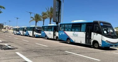 خطوط النقل الداخلية الرئيسية في مدينة العلمين الجديدة