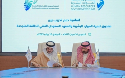دعم تدريب وتأهيل 875 من الكوادر الوطنية في مجال الطاقة المتجددة لتعزيز المهارات.