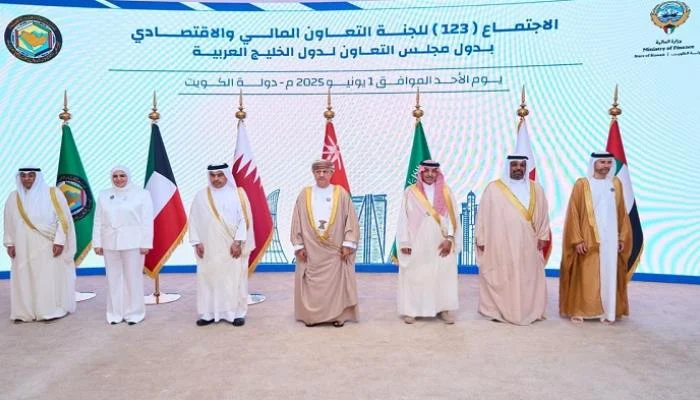 دعوة إماراتية لمواءمة السياسات المالية الخليجية لتعزيز التكامل