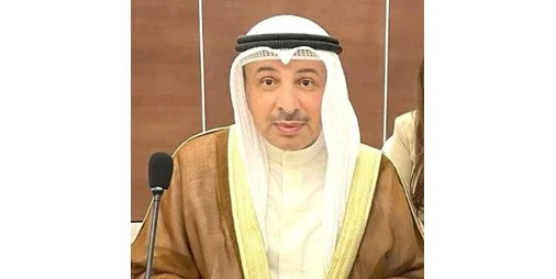 دول مجلس التعاون تؤكد أهمية التعاون التقني وحقوق الإنسان وفق السفير ناصر الهين