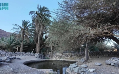 ذاكرة جريان "عين شلال" تنعش حياة أهالي ومزارع العُلا