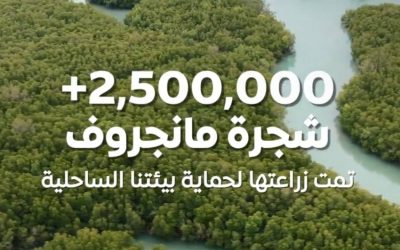 زراعة 2.5 مليون شجرة مانجروف في المملكة