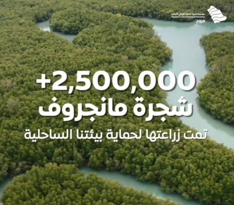 زراعة 2.5 مليون شجرة مانجروف في المملكة