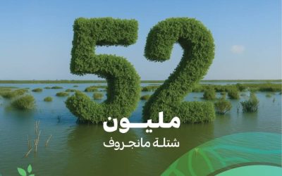 زراعة 52 مليون شجرة مانجروف تعزز ساحل المملكة