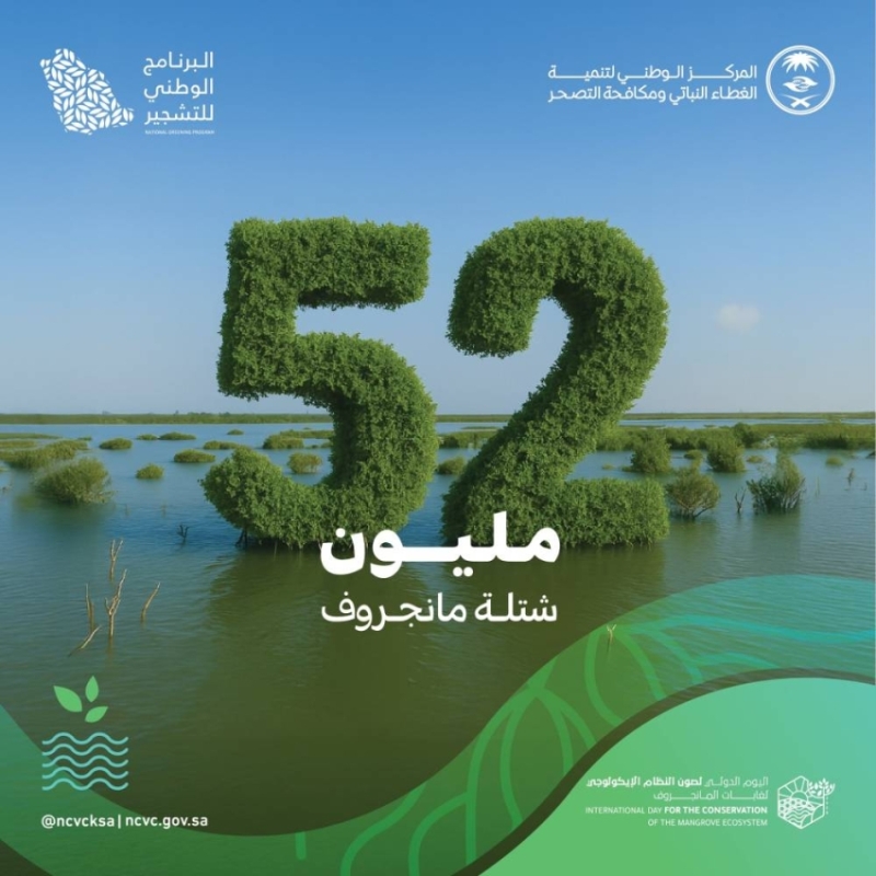 زراعة 52 مليون شجرة مانجروف تعزز ساحل المملكة
