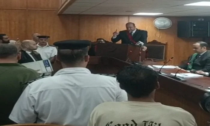 سائق تريلا يُحكم عليه بالسجن 15 عامًا في حادث الإقليمي بالمنوفية