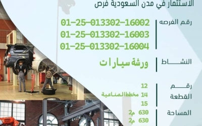 ستة فرص استثمارية متميزة في محافظة طريف تحتاج إلى استغلالها بشكل فعّال.